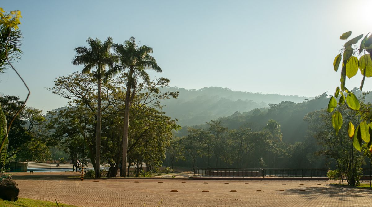 Itaminas aposta em mineração regenerativa e firma acordo inédito com rede global ICLEI