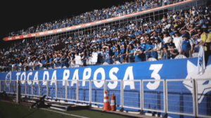Torcida do Cruzeiro no Mineirão