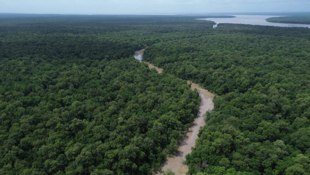 Floresta Amazônica