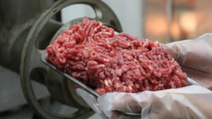 carne moída