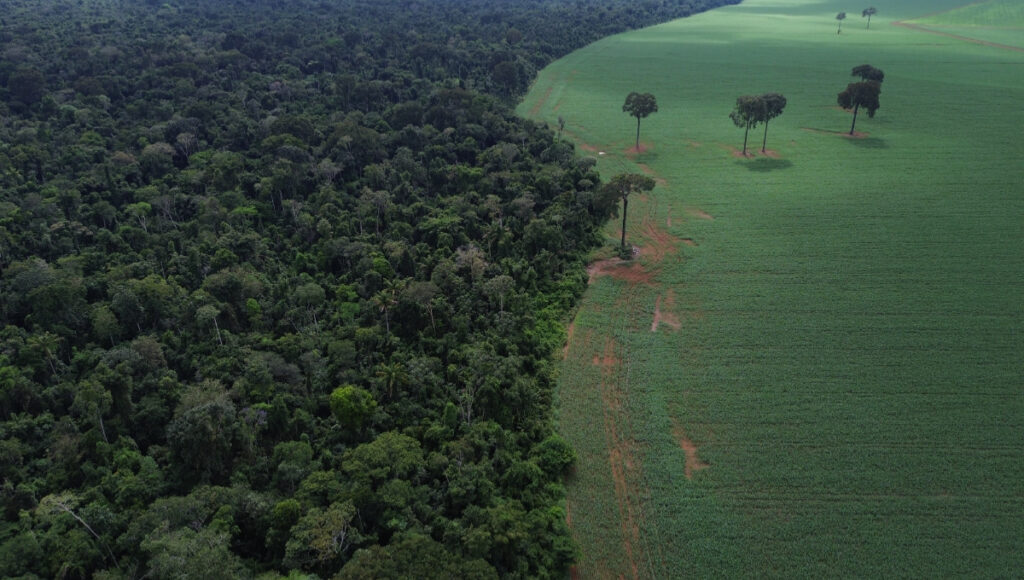 Floresta Amazônica