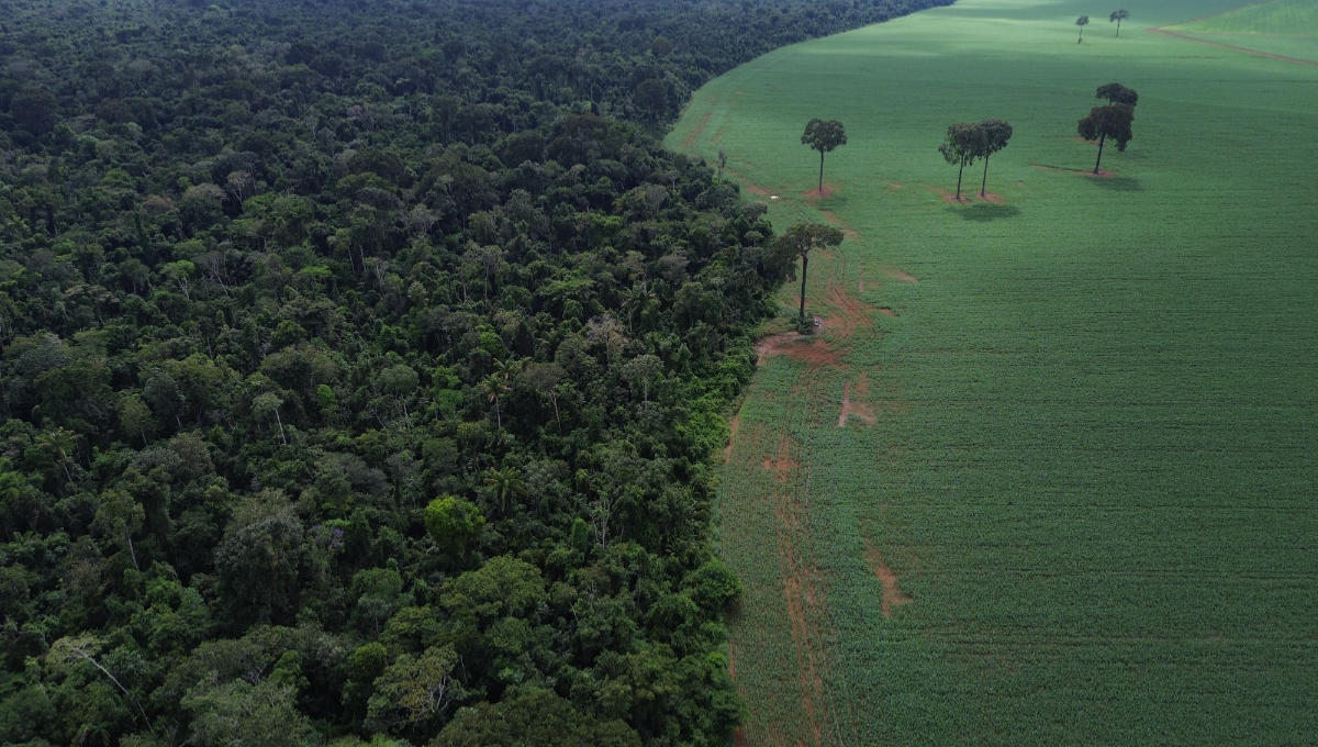 Floresta Amazônica
