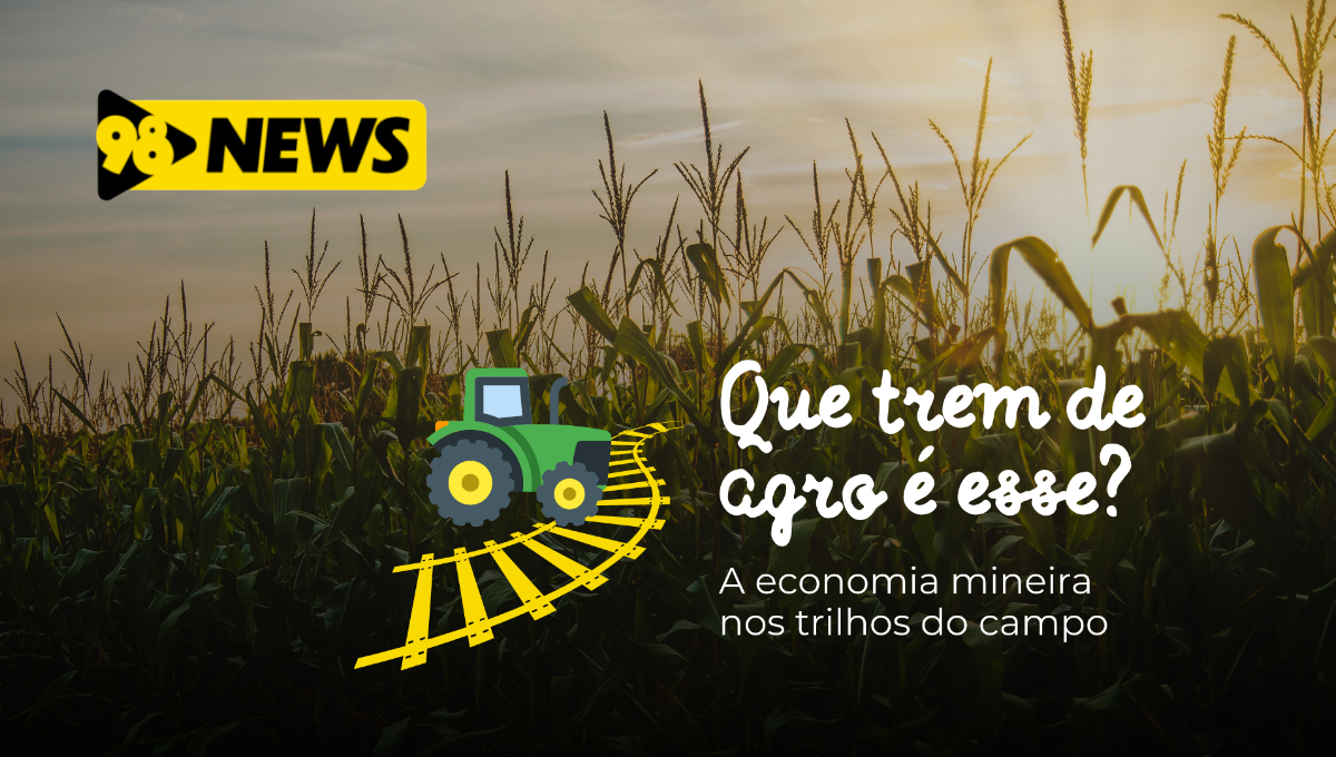 Arte em plantação de milho
