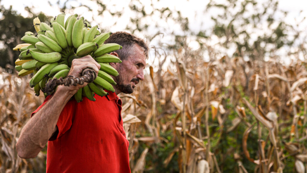 Homem com cacho de bananas