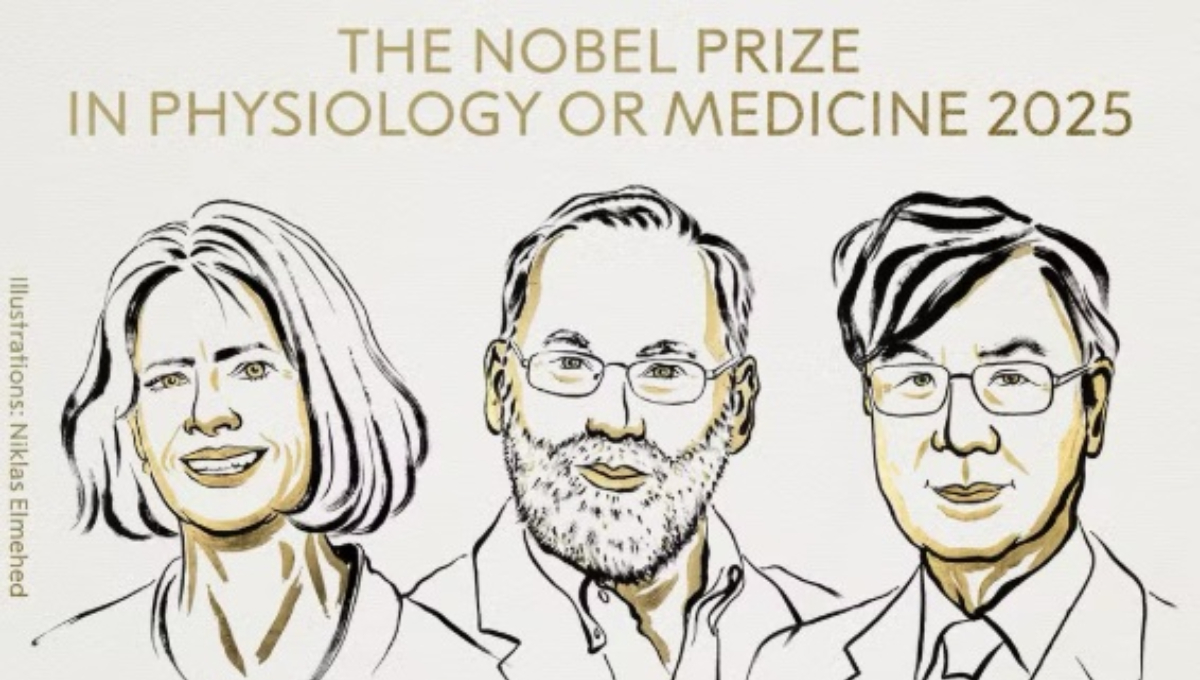 Vencedores Nobel de Medicina 2025