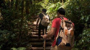 Expedição pela Amazônia