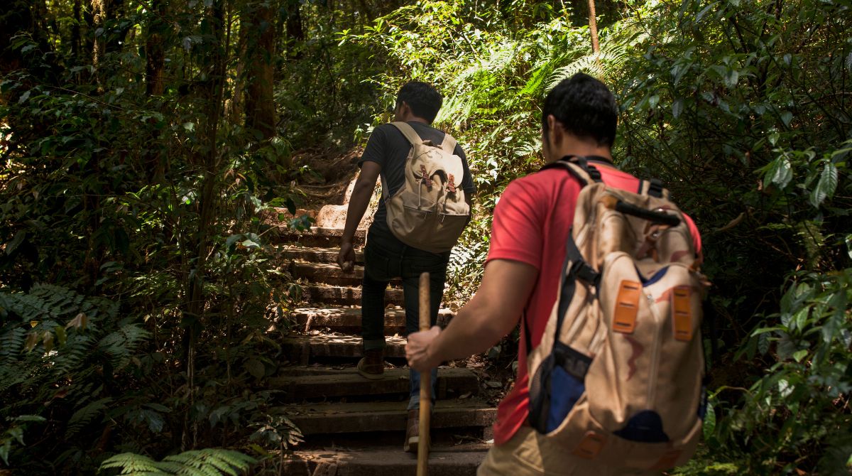 Expedição pela Amazônia
