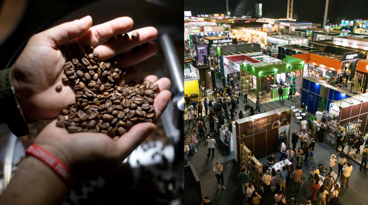Semana Internacional do Café Belo Horizonte recebe principal encontro de cafés do Brasil