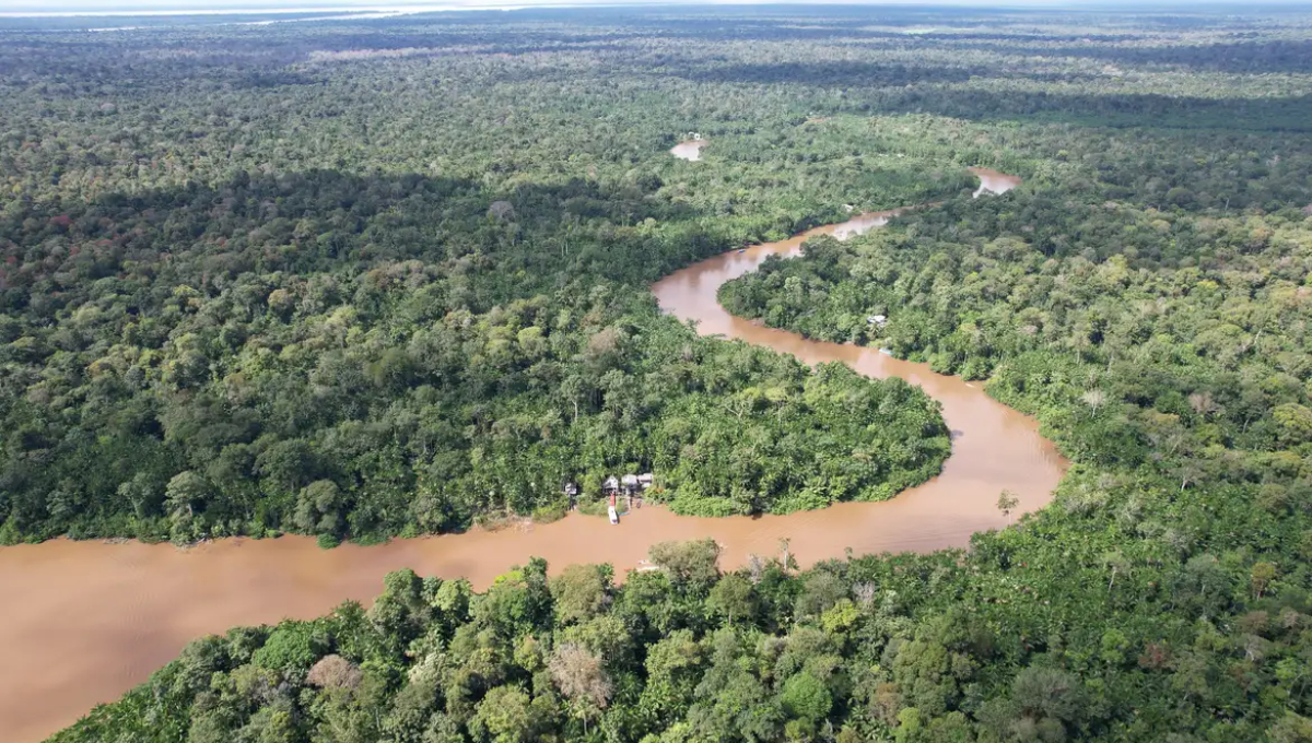 Imagem aérea da Amazônia