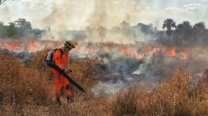 bombeiro debelando incêndio