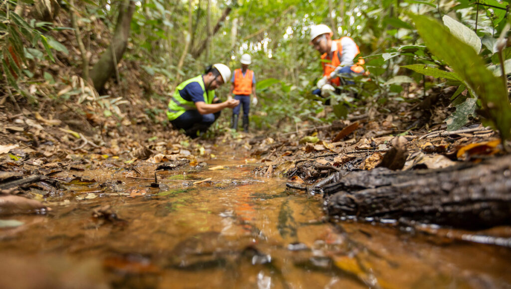 Trabalho de recuperacao florestal e de nascentes 