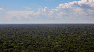 amazônia cerrado desmatamento