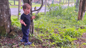 garotinho conversando com bem-te-vi