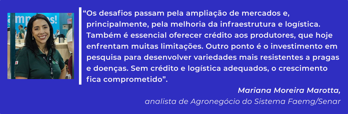 Quote de Mariana Senai