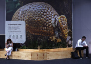 Participantes na Zona Azul, da COP 30