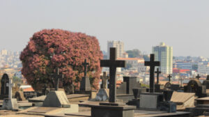 cemitério em BH