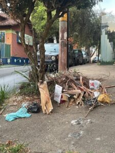 Imagem de uma rua suja em Belo Horizonte