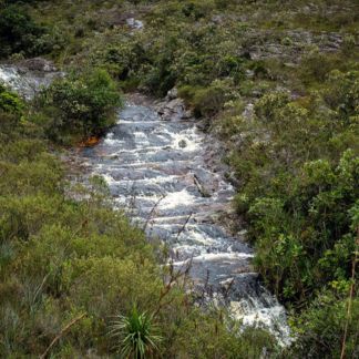 Anglo American é reconhecida pela Unesco por projeto em Minas