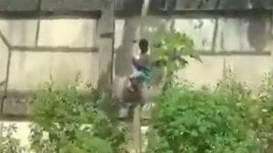 Um vídeo registrado por um visitante do local mostra o momento em que o rapaz entra no recinto do animal e é atacado. (Foto: Reprodução/X/MundoVivo)