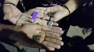 Maconha