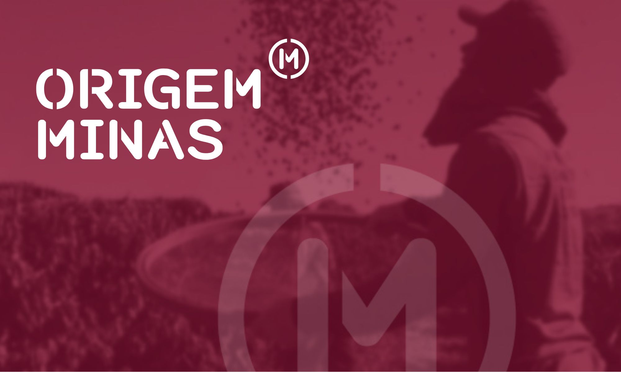 Origem Minas Sebrae