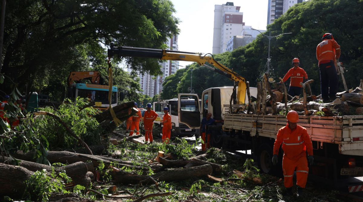 vendaval em são paulo