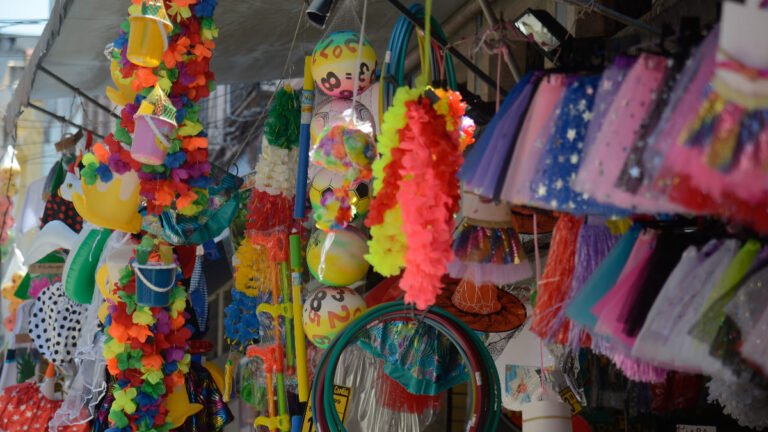 adereços carnaval fantasias