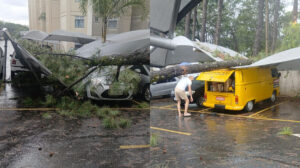 árvore cai em santa luzia