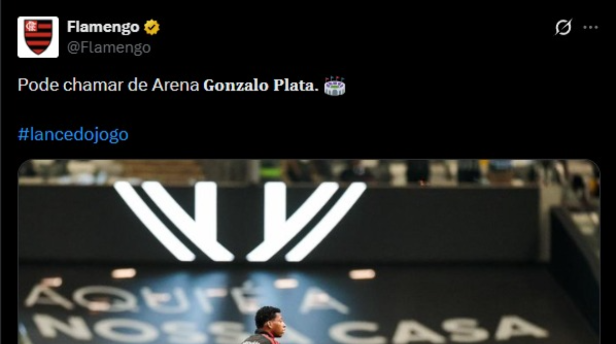 gonzalo plata arena mrv