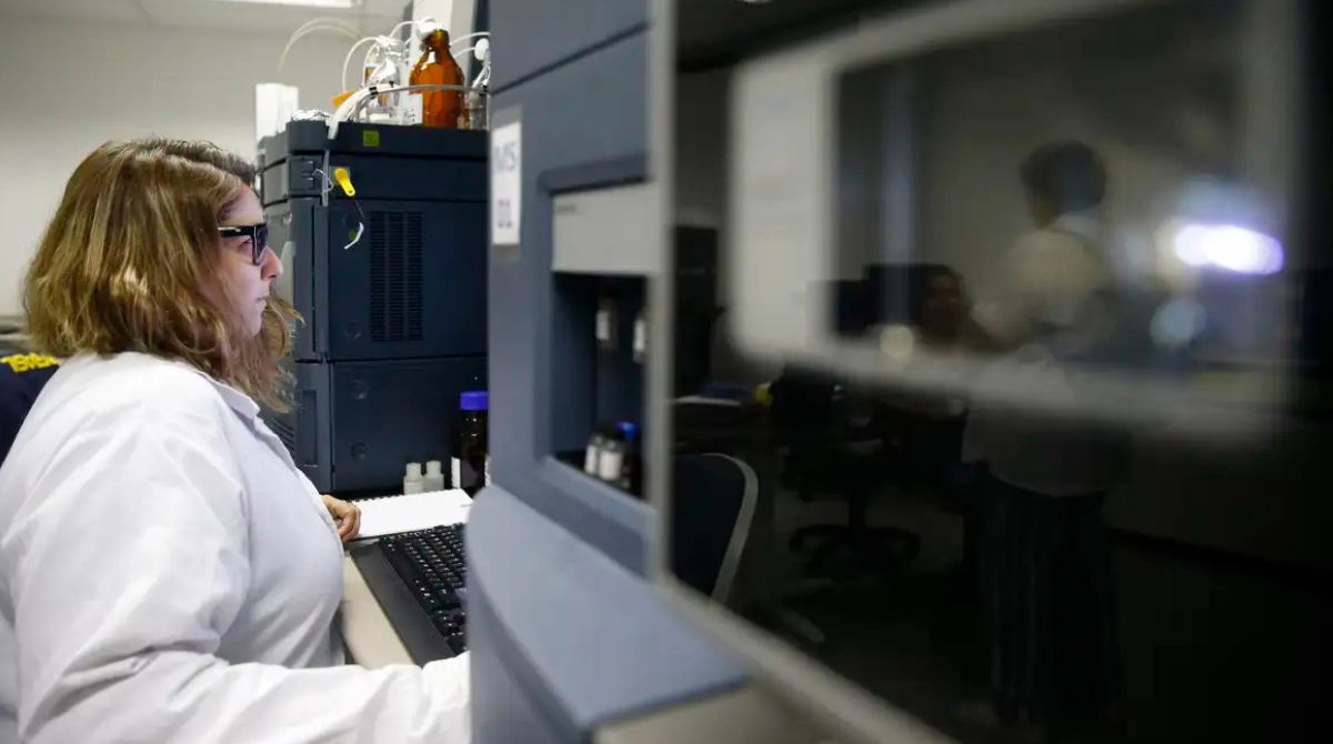 Emprego feminino cresce 11% no Brasil, mas desigualdade salarial persiste. (Foto: Tânia Rego/Agência Brasil)