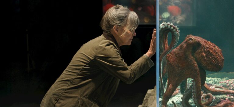 foto mostra cena do filme criaturas extraordinariamente brilhantes, da netflix