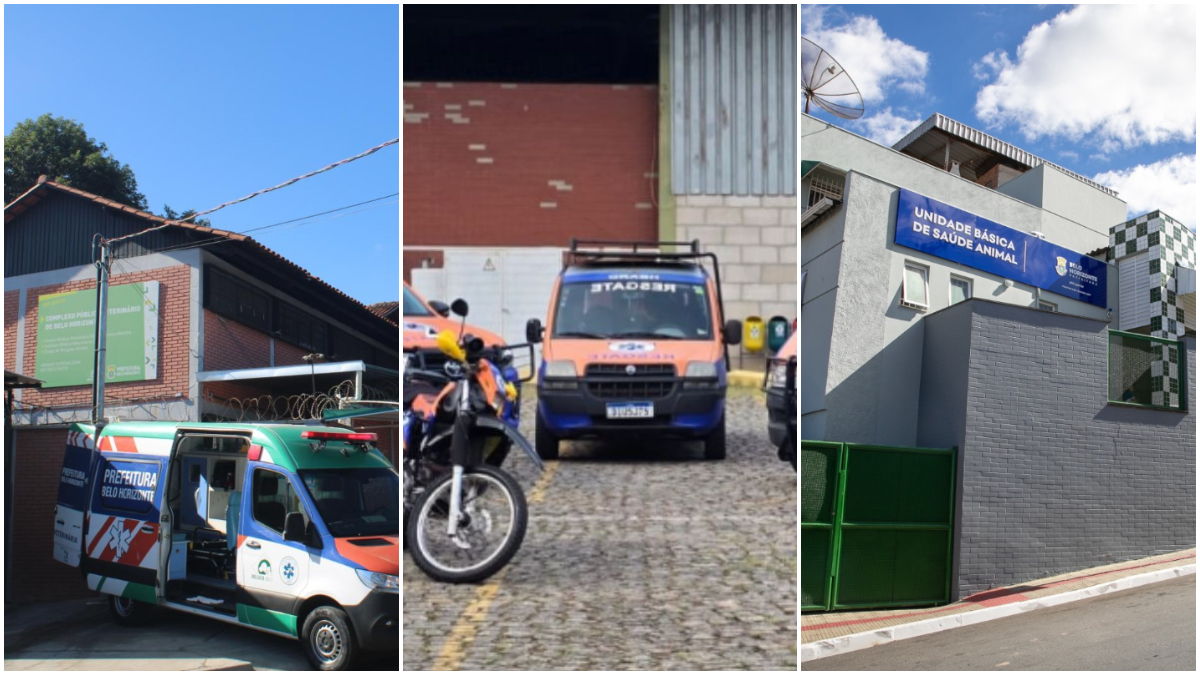 foto mostra os serviços veterinários gratuitos ofertados em BH