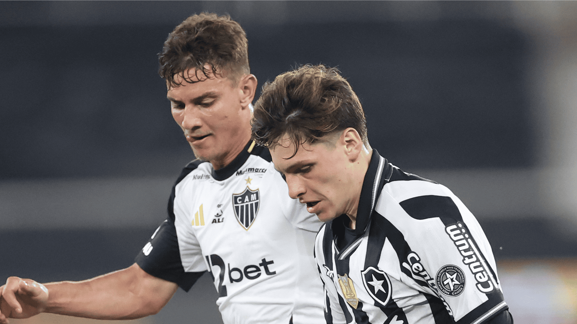 galo
