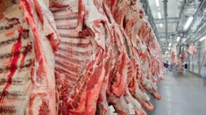 Carnes