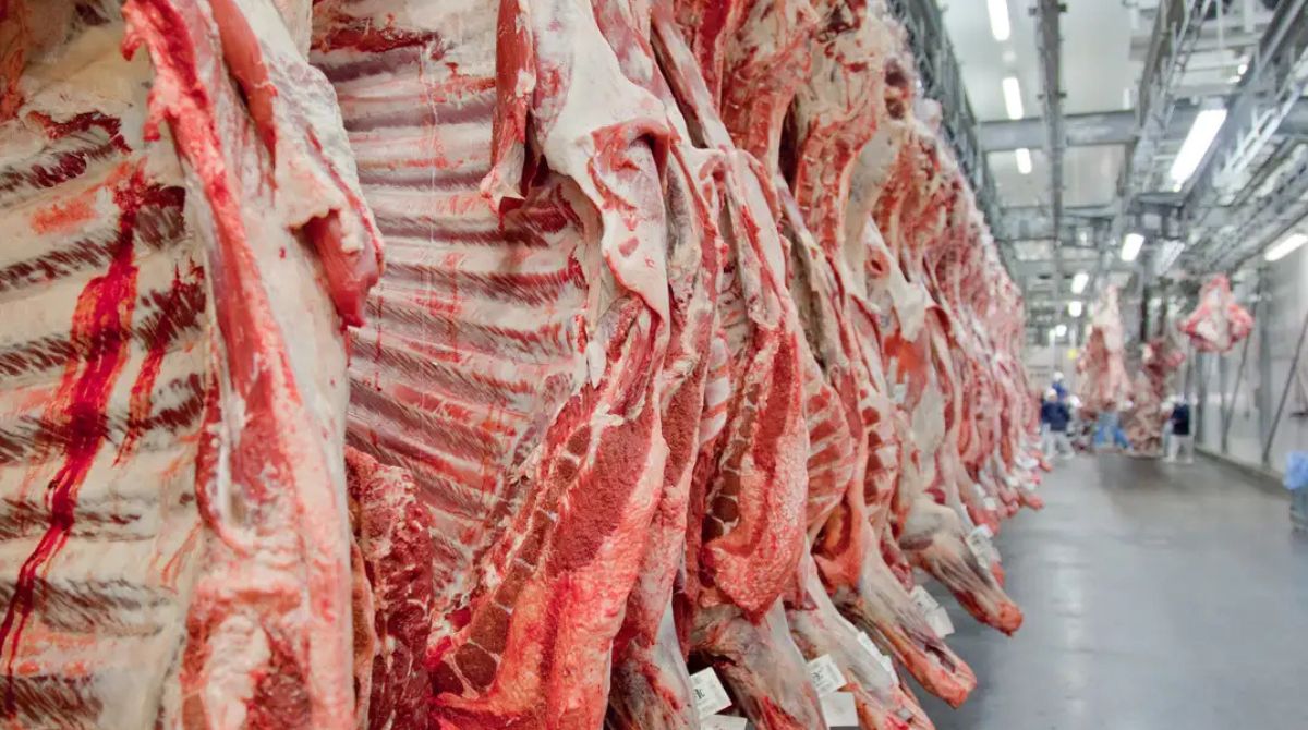 Carnes