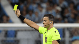 palmeiras cruzeiro