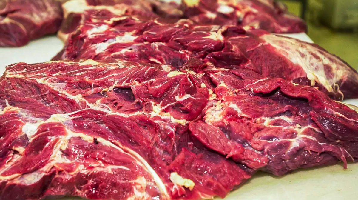 Ministério da Agricultura fecha acordo em Pequim e China retoma compras de carne bovina de três grandes plantas frigoríficas brasileiras. (Foto: Marcello Casal Jr/Agência Brasil)