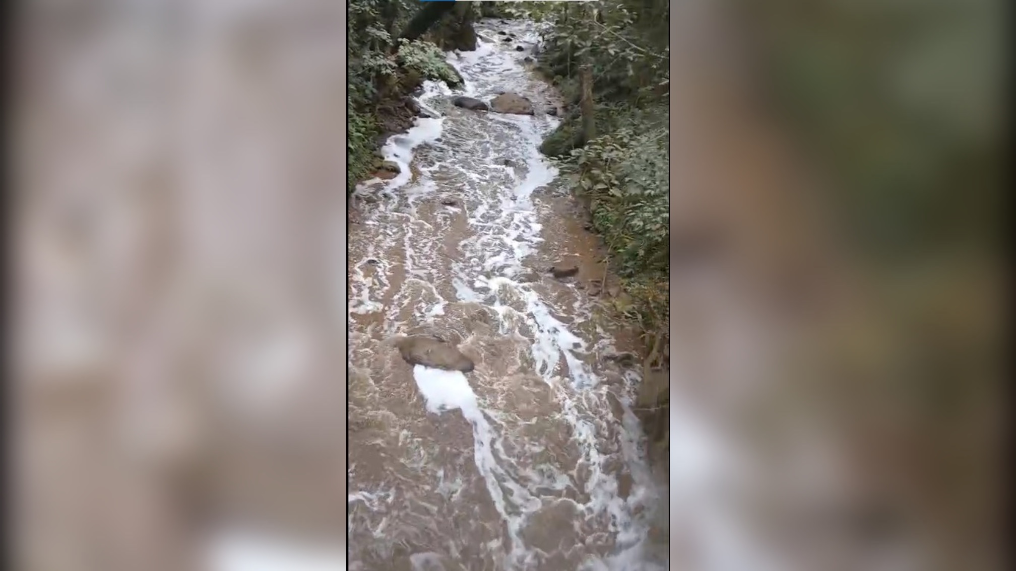Poluição no Córrego dos Fechos