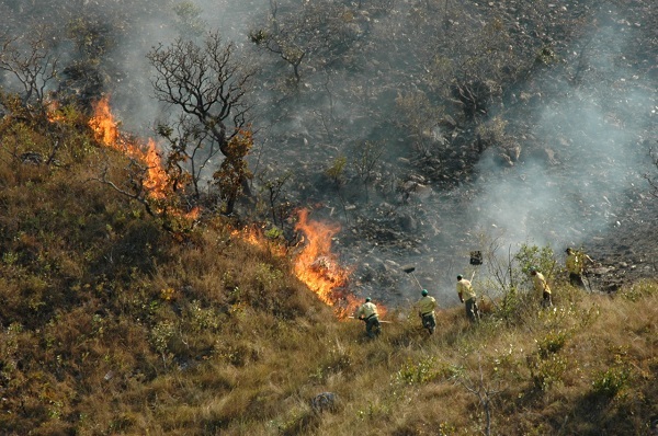 Incêndios florestais em Minas Gerais
