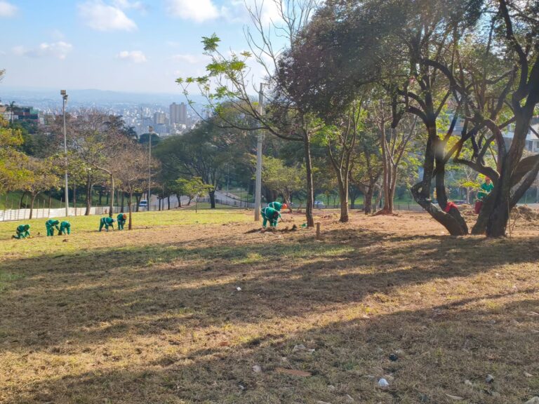 Praça do Papa em BH