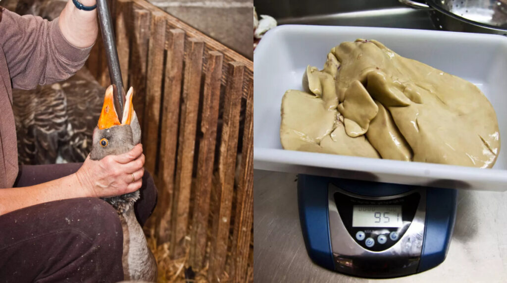 foie gras