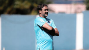 cruzeiro botafogo