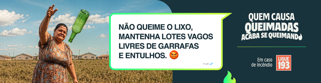 queimadas em minas gerais