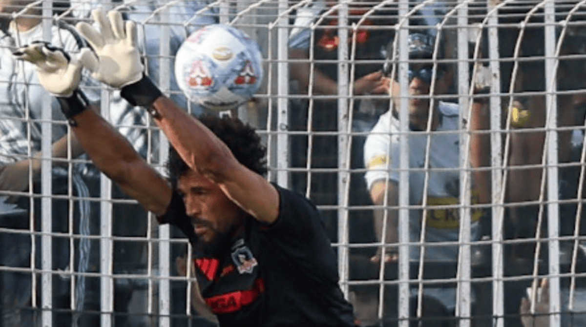 vozinha colo colo