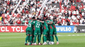 palmeiras ldu