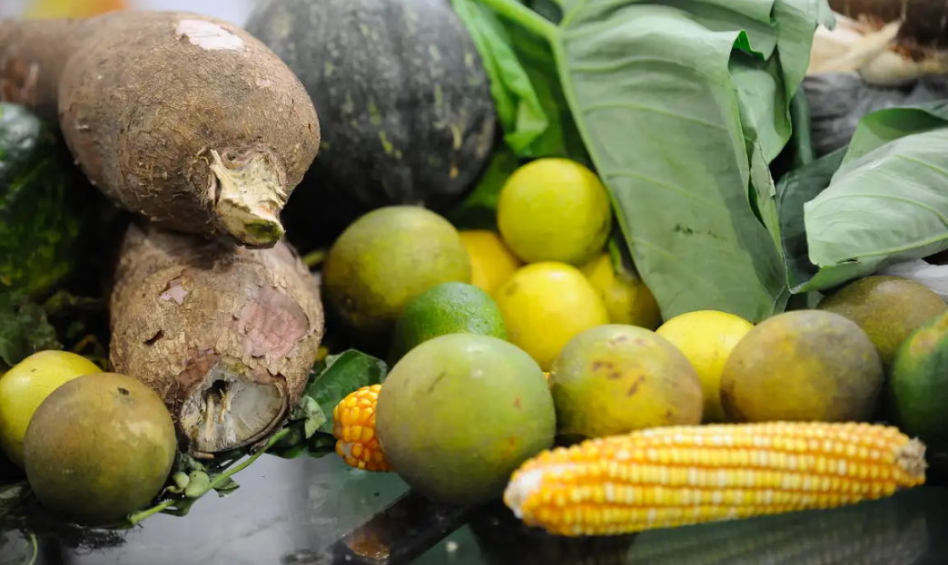 Alimentos