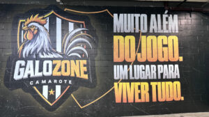 arena mrv