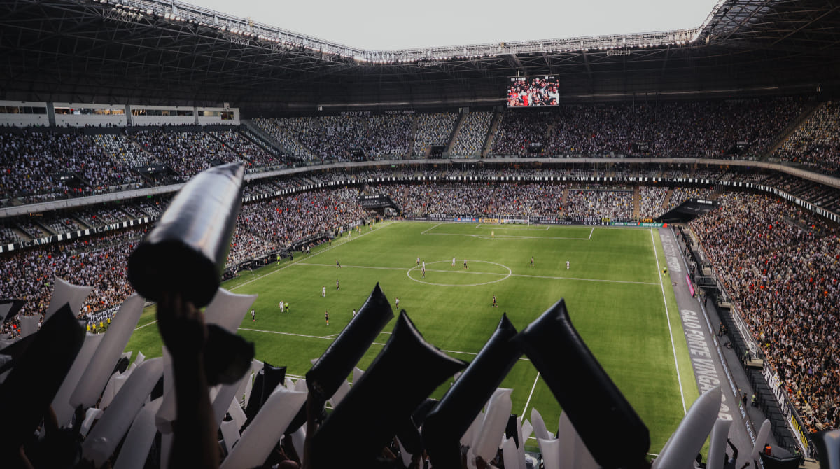 arena mrv