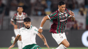 palmeiras fluminense