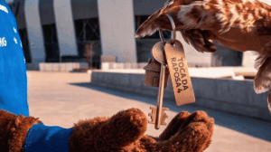 provocação cruzeiro